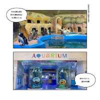 首爾最大水族館親子游
