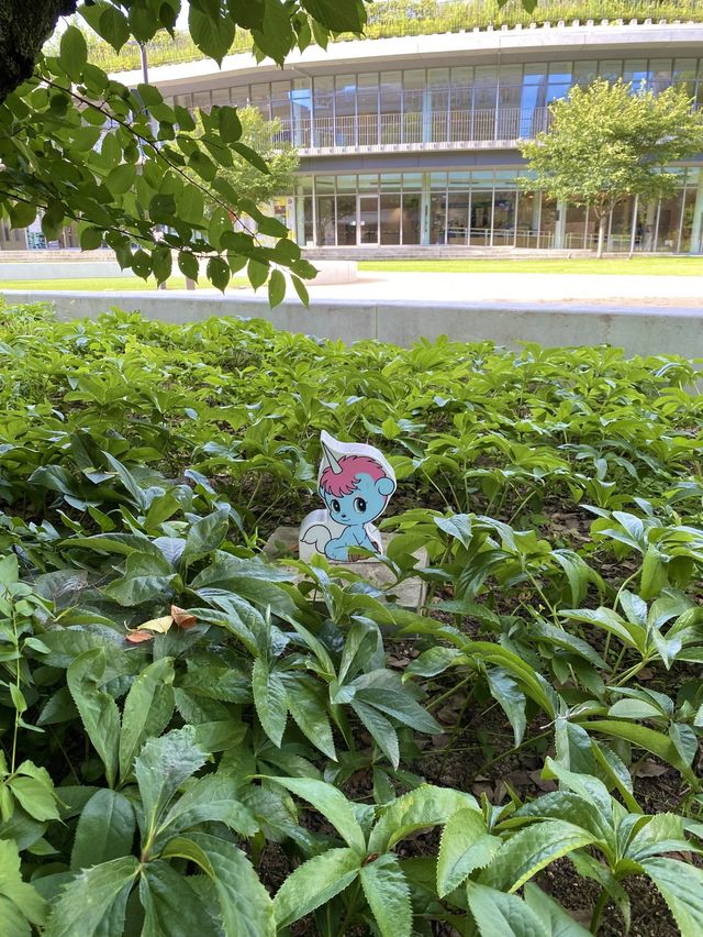 【宝塚】庭園の隠れキャラクター探し