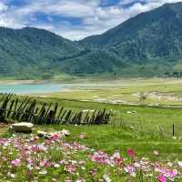 樽前山：人間仙境般的美景～心靈平靜安怡