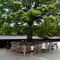 Discover Serenity at Meiji Jingu Shrine! 🌿⛩️