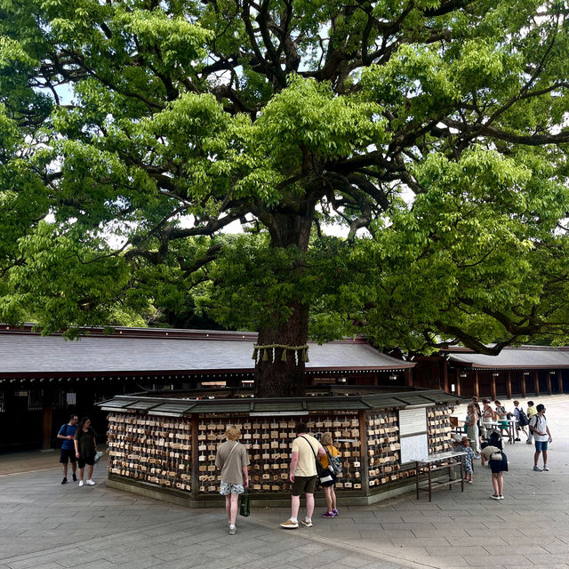 Discover Serenity at Meiji Jingu Shrine! 🌿⛩️