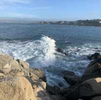 Exploring the 17-Mile Drive: A Scenic Coastal Journey
