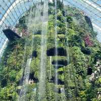 Singapore 🇸🇬 Most beautiful indoor garden 