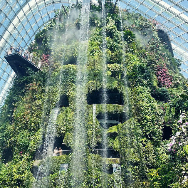 Singapore 🇸🇬 Most beautiful indoor garden 