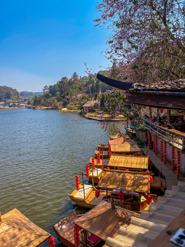 The only Itinerary you need for Chiang Mai 🇹🇭 