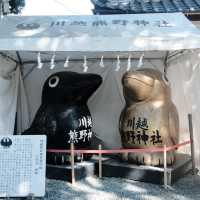 【埼玉】神社なのに足つぼ！？！？「川越熊野神社」