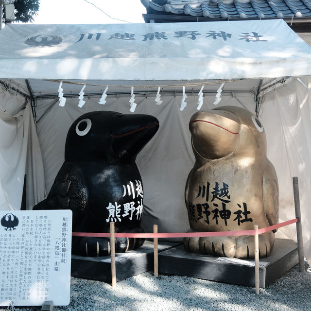 【埼玉】神社なのに足つぼ！？！？「川越熊野神社」