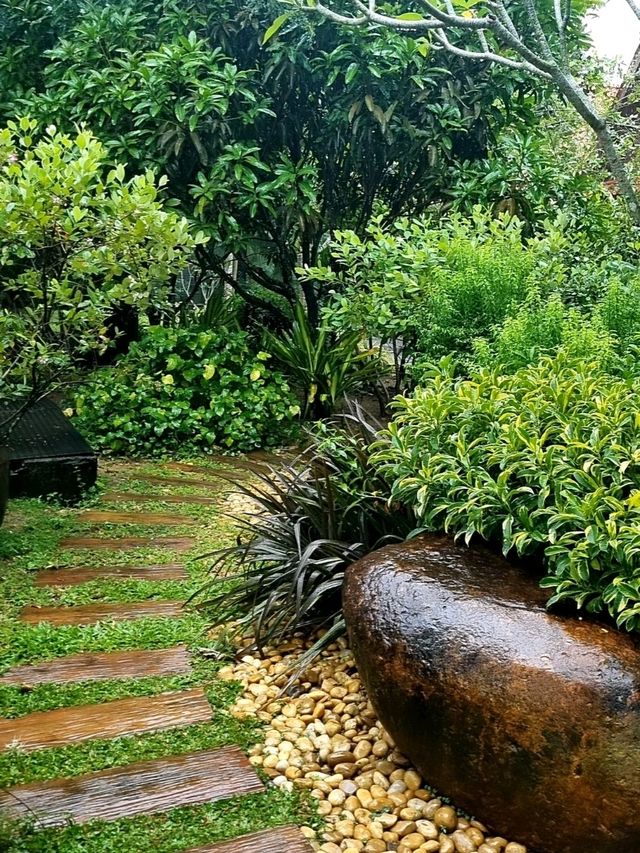 A WEEKEND BY THE RIVER, FOREST SANCTUARY