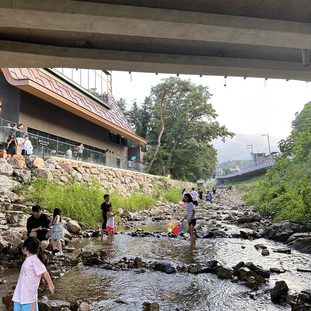 서울 근교 계곡 맛집 용인 고기리유원지💦