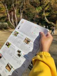 유네스코 세계유산 안동 도산서원🍁