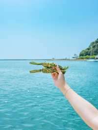 【佐渡島】透き通った海の絶景💎今こそ行きたい佐渡島の海フォトスポット🩵✨  