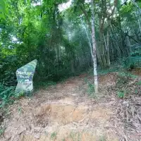 Darulaman Trails