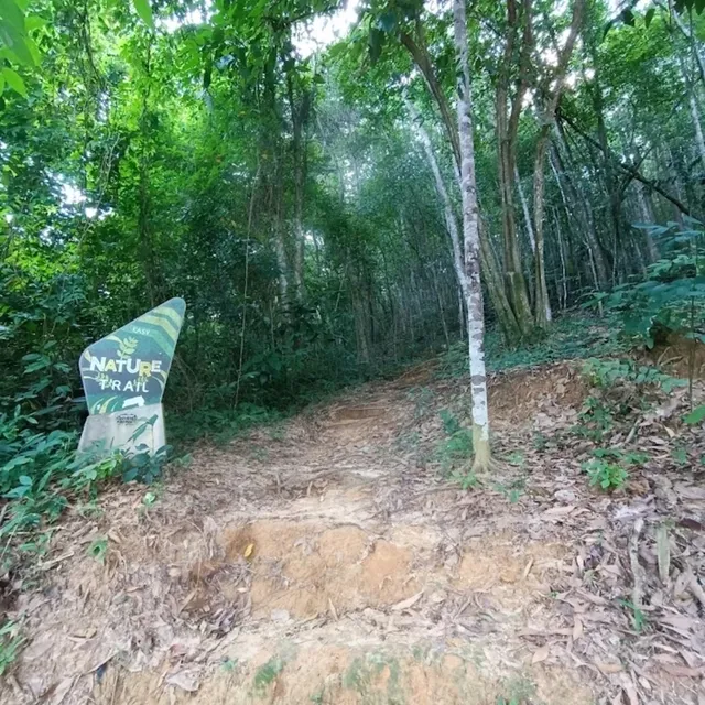 Darulaman Trails