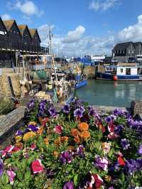 The world is your oyster • Whitstable