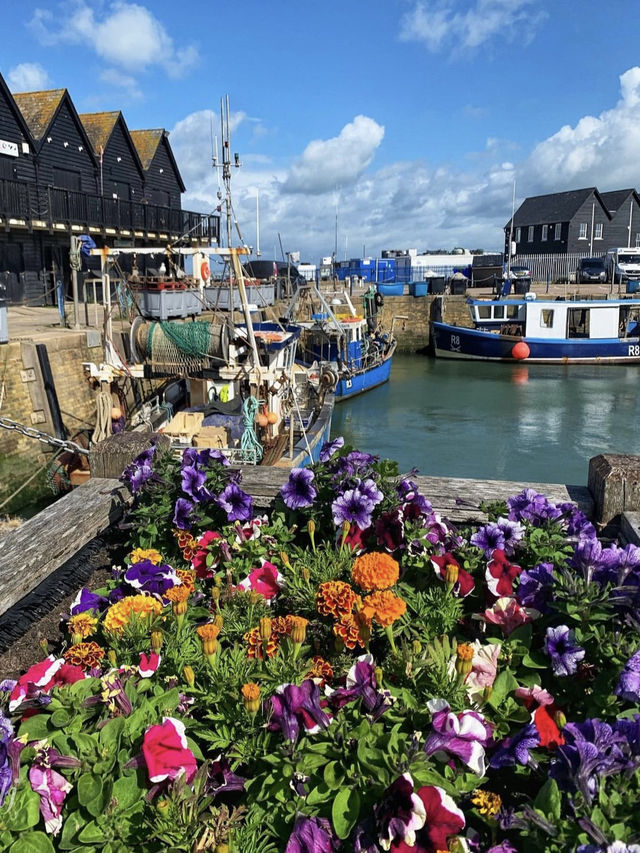 The world is your oyster • Whitstable