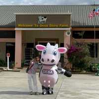 A Scenic & Unique Experience at Desa Dairy Farm Kundasang