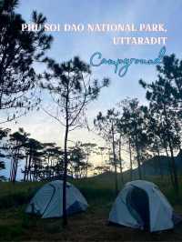 ภูสอยดาว เต็นท์แคมป์นี้…มีดีตอนค่ำคืน! ⛺️