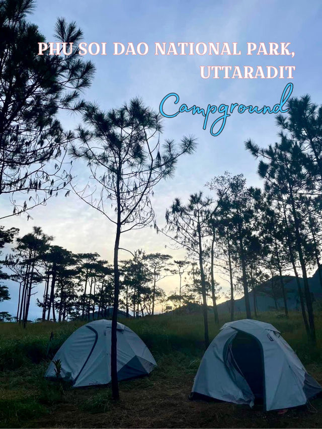 ภูสอยดาว เต็นท์แคมป์นี้…มีดีตอนค่ำคืน! ⛺️