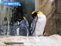 台北-大人小孩都喜歡的最佳親子景點：台北市立動物園