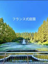 〜神奈川県〜ドラマ、映画の撮影にも使われる！相模原公園