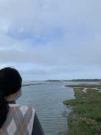 🚴‍♂️ 新竹十七公里海岸線 - 絶景と自然が楽しめるサイクリングロード*🚴‍♀️
