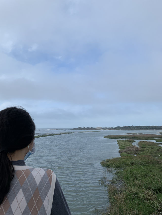 🚴‍♂️ 新竹十七公里海岸線 - 絶景と自然が楽しめるサイクリングロード*🚴‍♀️