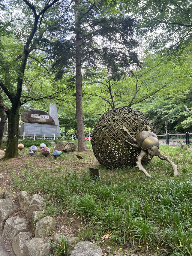 大邱景點 前山瞭望台