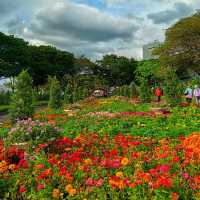 🇲🇾 Floral Wonders Await at Royal Floria Putrajaya