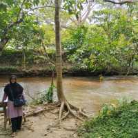 National Elephant Conservation Centre