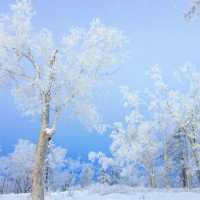 Snow Valley 雪谷( ตั้งอยู่ในเขต Wuchang) 