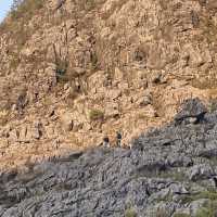 A UNESCO Geological Wonderland