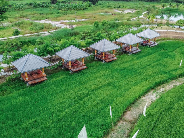 คาเฟ่นครนายกวิวทุ่งนา