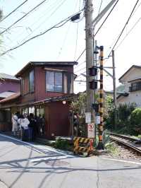 䥥倉 🚞 稻村ケ崎 Cafe Yoridocoro ヨリドコロ超級人氣👍燒魚🐟 早餐定食 🚃朝ごはん