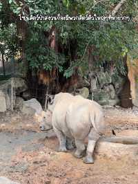 ชมสวนสัตว์ wildlife zone ที่ Vinwonders Nhatrang 🐂