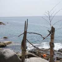 คาเฟ่ริมทะเลภูเก็ต ชิลเวอร์