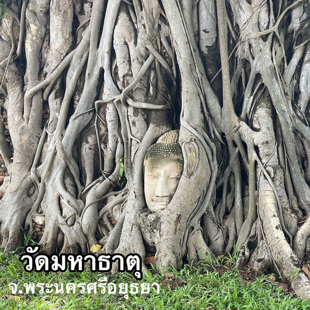 วัดมหาธาตุ วัดเก่ายุคกรุงศรีฯ มรดกทางวัฒนธรรม