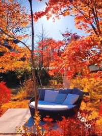 【軽井沢】避暑だけじゃない、紅葉もオススメ❣️