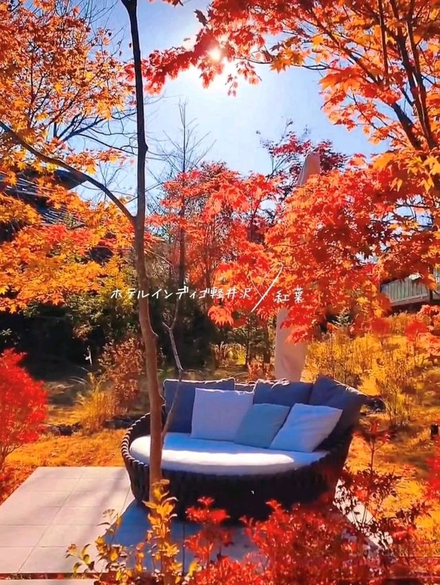 【軽井沢】避暑だけじゃない、紅葉もオススメ❣️