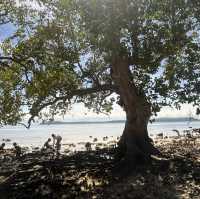 No entrance no fee located at Samal 