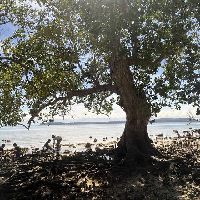 No entrance no fee located at Samal 