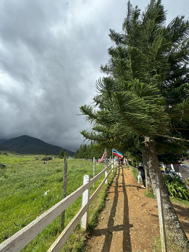 Desa Dairy Farm, Kundasang