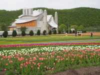 Kamiyubetsu Tulip Park