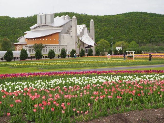 Kamiyubetsu Tulip Park
