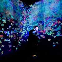 Tokyo Teamlab Borderless