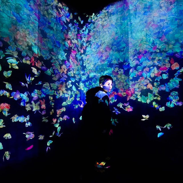 Tokyo Teamlab Borderless
