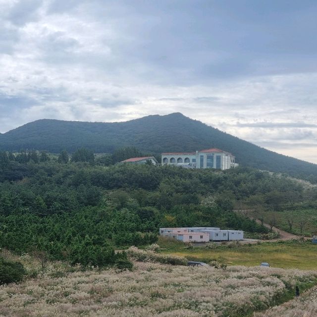제주 여행지 추천