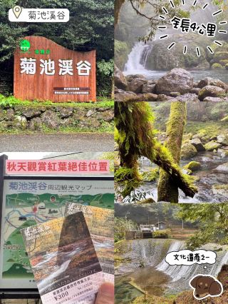 超推介秋天觀賞紅葉🍁景點🫶🏻菊池溪谷‼️