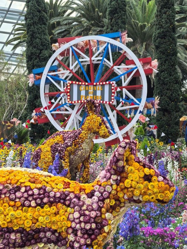 Australian Carnival of Flowers at Flower Dome