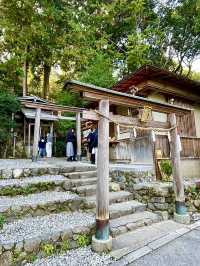 【京都府】日本で唯一の「髪」の神社