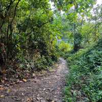 **Hiking at Bukit Kepayang: A Scenic Escape**